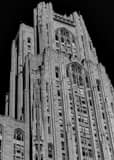 Vertical The Top of the Cathedral of Learning black and white Photos
