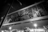 Horizontal The City of Oaks black and white Pictures