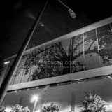 Square The City of Oaks black and white Pictures