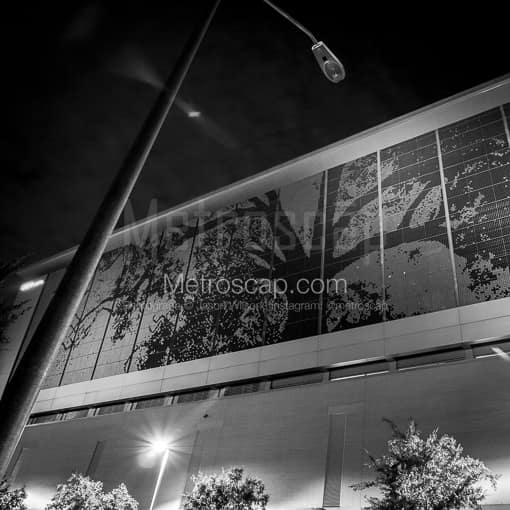 The City of Oaks -- Raleigh Black and White Photos