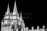 Horizontal The LDS Temple at Night black and white Pictures