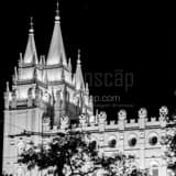 Square The LDS Temple at Night black and white Pictures