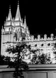 Vertical The LDS Temple at Night black and white Pictures