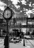 Vertical The City Creek Pedestrian Bridge black and white Pictures