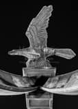 Vertical Eagle Gate over State Street black and white Pictures