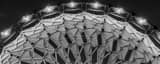 Panoramic The Hoberman Arch black and white Pictures