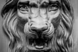 Horizontal The Lion Building in Temple Square black and white Pictures