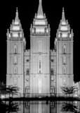 Vertical The Mormon Temple at Night black and white Pictures