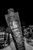 Vertical An Old Coundown Clock at a TRAX Station black and white Pictures