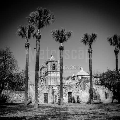 Mission Concepcion -- San Antonio Black and White Photos