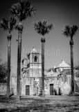 Vertical Mission Concepcion black and white Photos