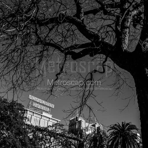 The Crockett Hotel -- San Antonio Black and White Photos