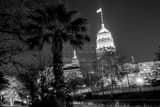 Horizontal The Tower Life Building at Night black and white Photos