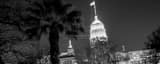 Panoramic The Tower Life Building at Night black and white Photos