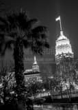 Vertical The Tower Life Building at Night black and white Photos