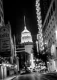 Vertical The Tower Life Building and Aztec Theater at Night black and white Photos