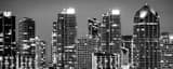 Panoramic Downtown San Diego at Night Framed Photos