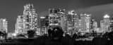 Panoramic San Diego at Night from the Camino Real Freeway landscape black and white Photography