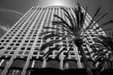 Horizontal The Manchester Grand Hyatt in San Diego Framed Photos