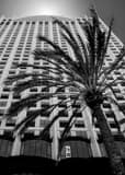 Vertical The Manchester Grand Hyatt in San Diego Framed Photos