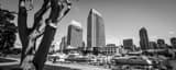 Panoramic The San Diego Marina Framed Photos
