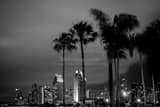 Horizontal The San Diego Skyline with Palm Trees black and white Pictures