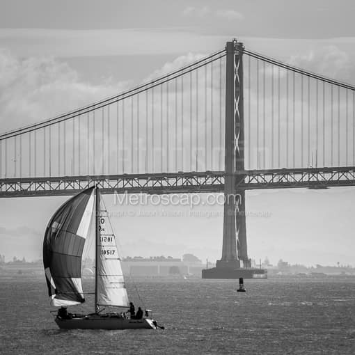The Bay Bridge and Full Sail Boat -- San Francisco Black and White Photos