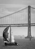 Vertical The Bay Bridge and Full Sail Boat black and white Photos