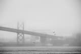 Horizontal The Bay Bridge under Dense Fog black and white Photos
