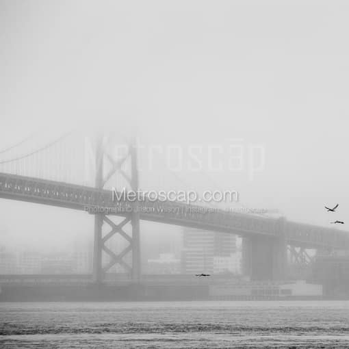 The Bay Bridge under Dense Fog -- San Francisco Black and White Photos