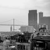 Square The Bay Bridge from Telegraph Hill landscape black and white Photography