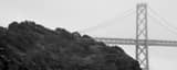 Panoramic The Bay Bridge and Yerba Buena Island in Afternoon Mist black and white Photos