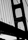 Vertical Up Close and Personal with the Golden Gate Bridge black and white Photos
