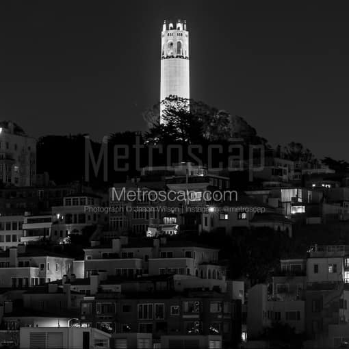 Coit Tower from Russian Hill -- San Francisco Black and White Photos