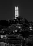 Vertical Coit Tower from Russian Hill black and white Photos