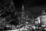 Horizontal Columbus Drive at Night black and white Photos