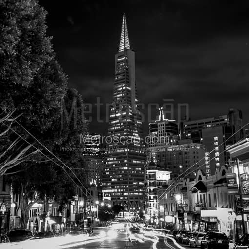 Columbus Drive at Night -- San Francisco Black and White Photos