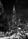 Vertical Columbus Drive at Night black and white Photos