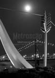 Vertical Cupids Arrow and Bay Bridge at Night black and white Photos