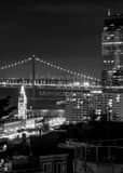 Vertical San Francisco Ferry Building from Telegraph Hill black and white Photos