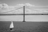 Horizontal Full Sails for a Sailboat on San Francisco Bay black and white Photos