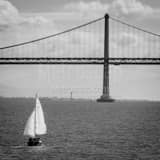 Square Full Sails for a Sailboat on San Francisco Bay black and white Photos