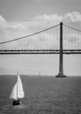 Vertical Full Sails for a Sailboat on San Francisco Bay black and white Photos
