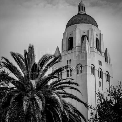 Hoover Tower on Stanford University Campus -- San Francisco Black and White Photos