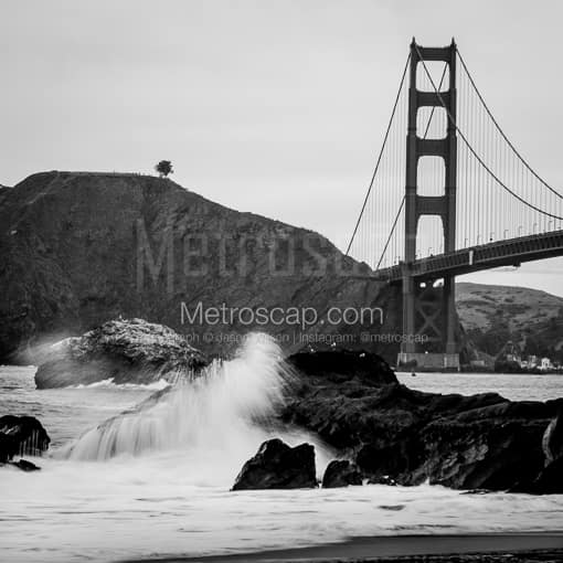 A Lone Tree Overlooks the Golden Gate Bridge from the Marin Headlands -- San Francisco Black and White Photos