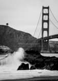 Vertical A Lone Tree Overlooks the Golden Gate Bridge from the Marin Headlands black and white Photos