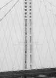 Vertical The Lone Spire of the Eastern Bay Bridge Under Mist and Fog black and white Photos