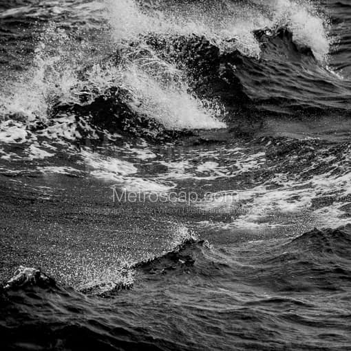 The Wake of a San Francisco Bay Sightseeing Boat -- San Francisco Black and White Photos