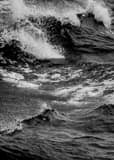 Vertical The Wake of a San Francisco Bay Sightseeing Boat black and white Photos
