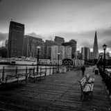 Square Park Benches Line the Edges of Pier 7 in San Francisco black and white Photos